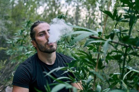 Porównanie i porady jak wybrać casino trực tuyến uy tín oraz sklep e papierosy kraków z najlepszymi promocjami